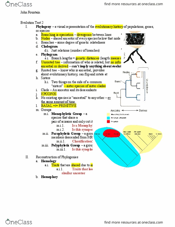 BIOL 351 Lecture 2: Bio 351 Evolution Test 2 Review thumbnail