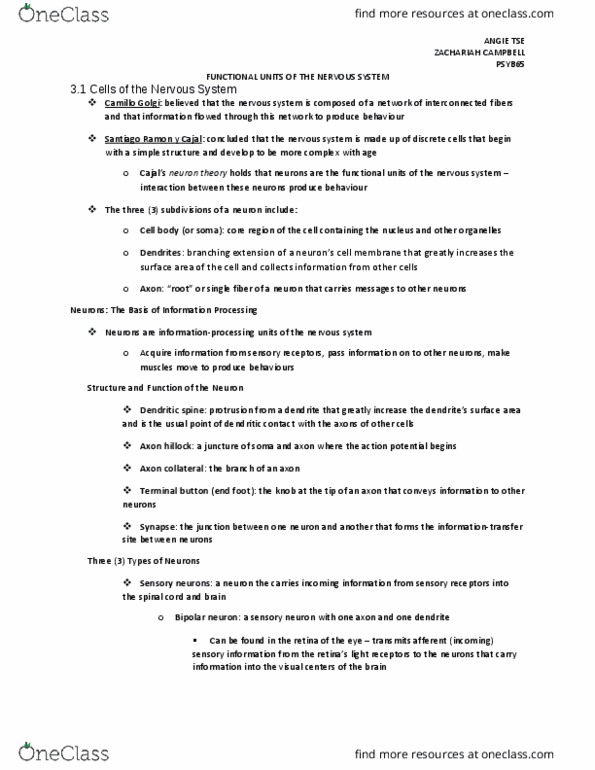 PSYB65H3 Chapter Notes - Chapter 3: Cerebrospinal Fluid, Axon Hillock, Neuroglia thumbnail