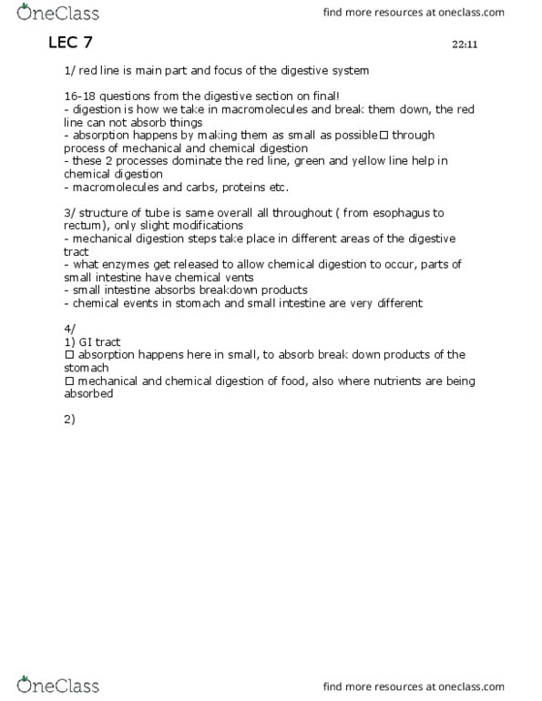 BLG 600 Lecture Notes - Lecture 7: Submandibular Gland, Muscular Layer, Lesser Omentum thumbnail