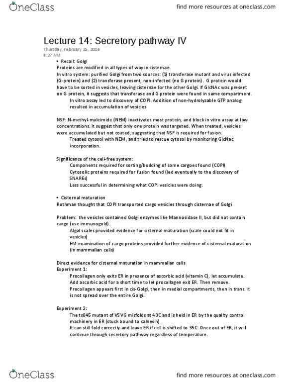 ANAT 262 Lecture Notes - Lecture 14: Collagen, Secretion, Lipid Raft thumbnail