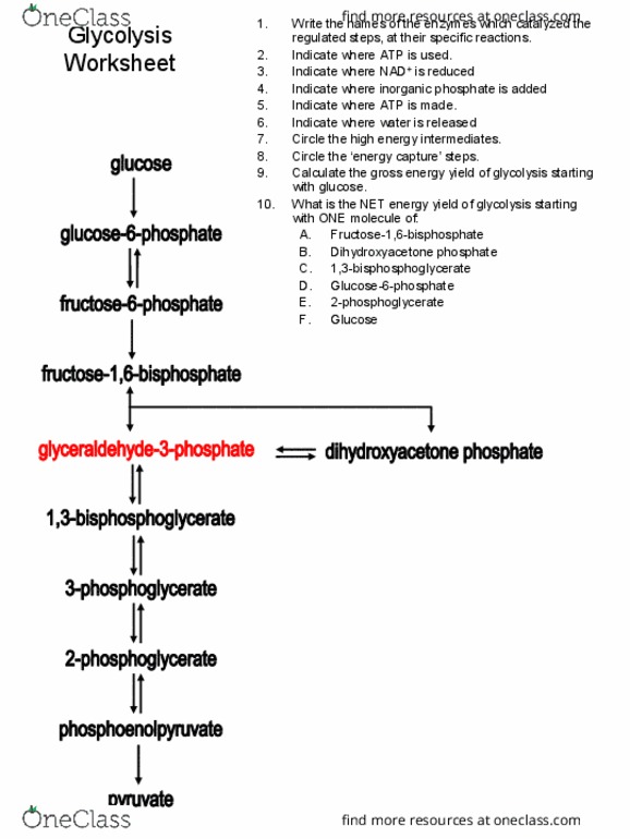 BIOCH200 Lecture Notes - Lecture 7: Dihydroxyacetone Phosphate, Phosphate, Glycolysis thumbnail