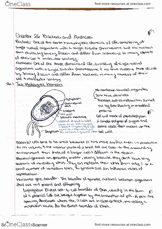 LIFESCI 1 Chapter Notes - Chapter 26: Vorya River, Horse-Fly, Northstar Engine Series thumbnail