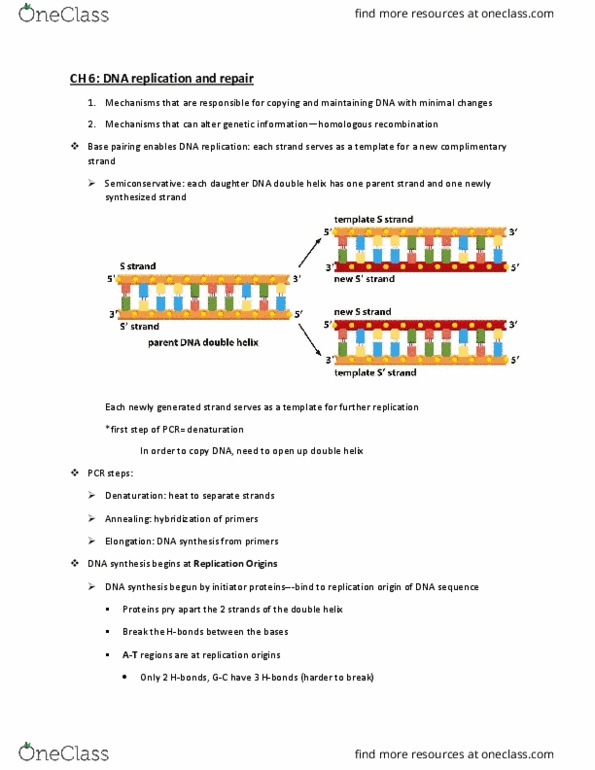 CAS NE 102 Lecture Notes - Lecture 3: Strands If, Chromosome, Phosphodiester Bond thumbnail