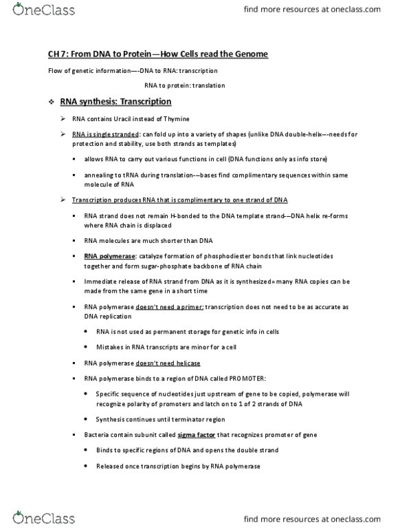 CAS NE 102 Lecture Notes - Lecture 4: Ribonucleoside, Transcription Factor Ii H, Tata-Binding Protein thumbnail