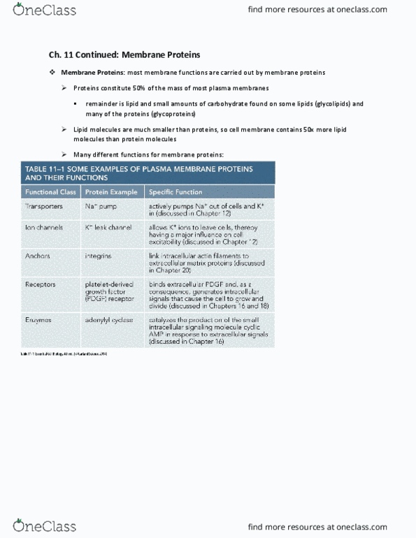 CAS NE 102 Lecture Notes - Lecture 8: Archean, Hydrophile, Detergent thumbnail