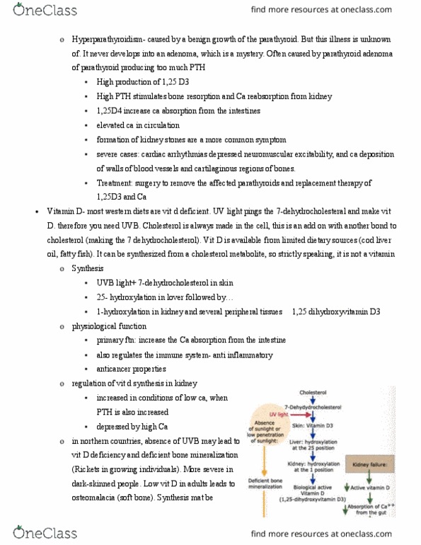 PHGY 210 Lecture Notes - Lecture 7: Adrenocorticotropic Hormone, Kidney Stone Disease, Cod Liver Oil thumbnail