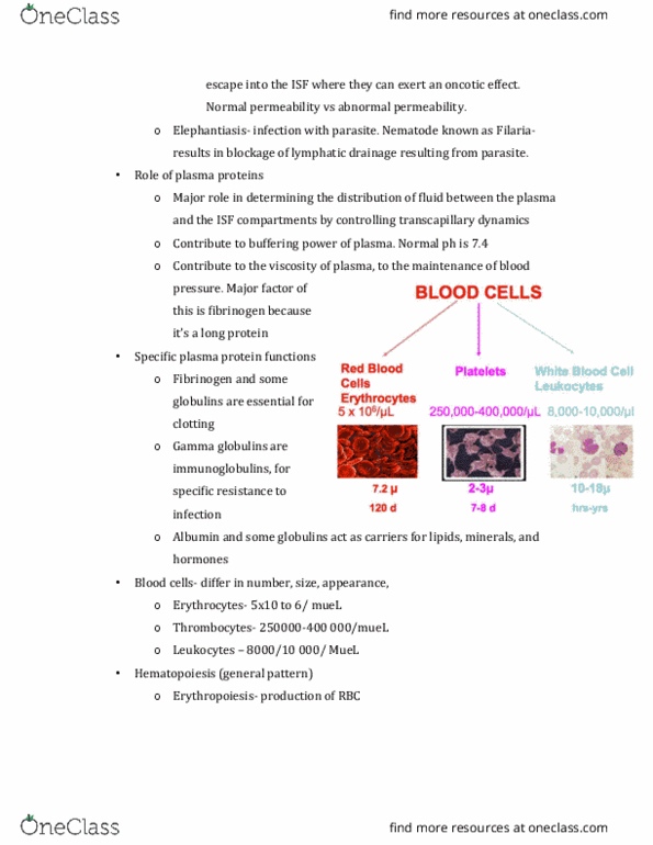 PHGY 209 Lecture Notes - Lecture 27: Fibrinogen, Viscosity, Eosinophil thumbnail