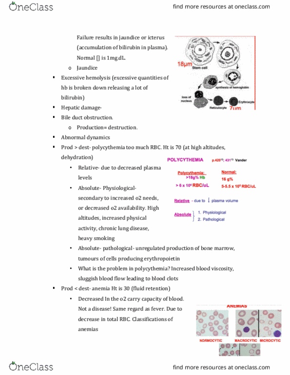 PHGY 209 Lecture Notes - Lecture 19: Reticulocyte, Bilirubin, Microcytic Anemia thumbnail