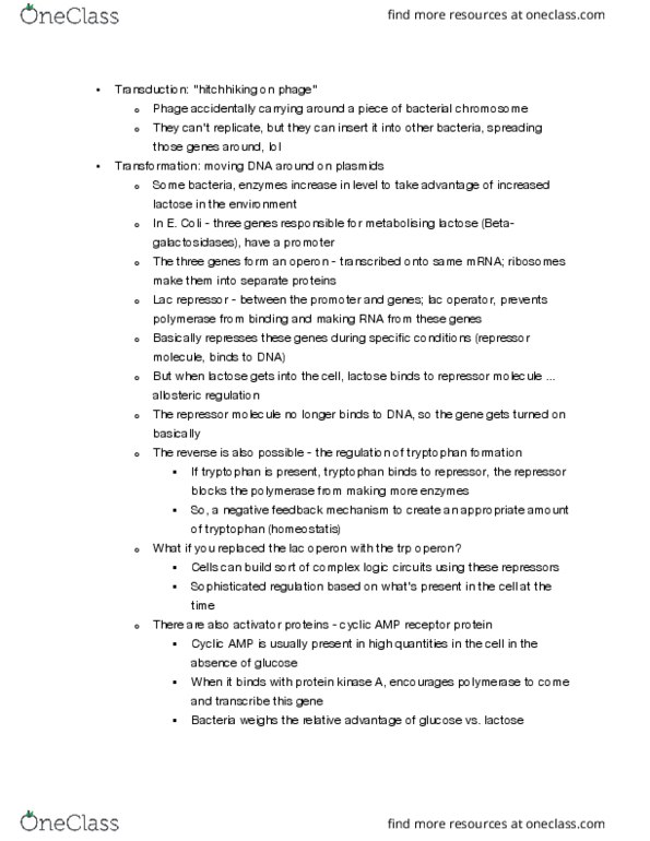 BIOL 112 Lecture Notes - Lecture 14: Hitchhiking, Chromosome, Allosteric Regulation thumbnail