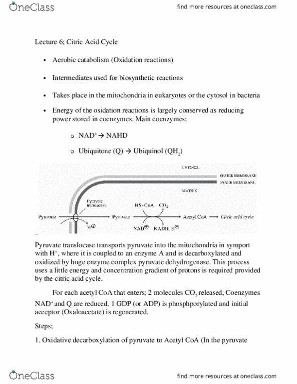 BIOC312 Lecture Notes - Lecture 6: Thioester, Malate Dehydrogenase, Symporter thumbnail