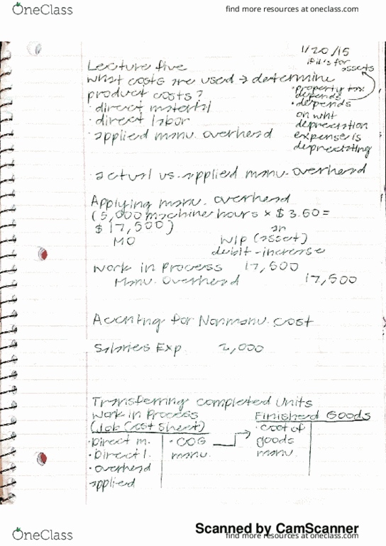 MGMT 30B Lecture Notes - Lecture 5: Ogg, Chief Operating Officer thumbnail