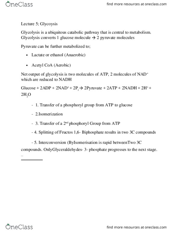BIOC312 Lecture Notes - Lecture 5: Phosphorylation, Isomerase, Pyruvic Acid thumbnail