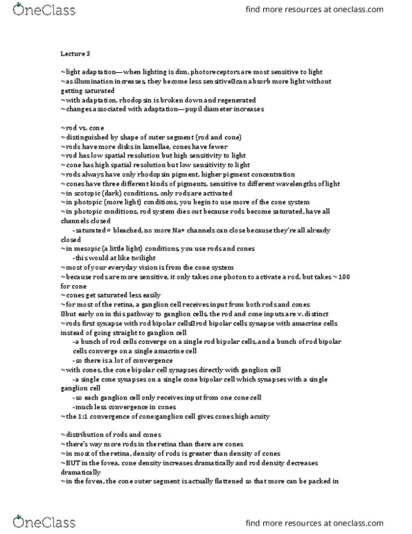 01:146:245 Lecture Notes - Lecture 3: Mesopic Vision, Photopic Vision, Scotopic Vision thumbnail