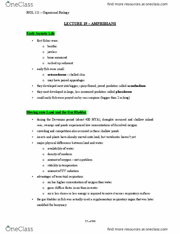 BIOL 111 Lecture Notes - Lecture 45: Swim Bladder, Placodermi, Acanthodii thumbnail