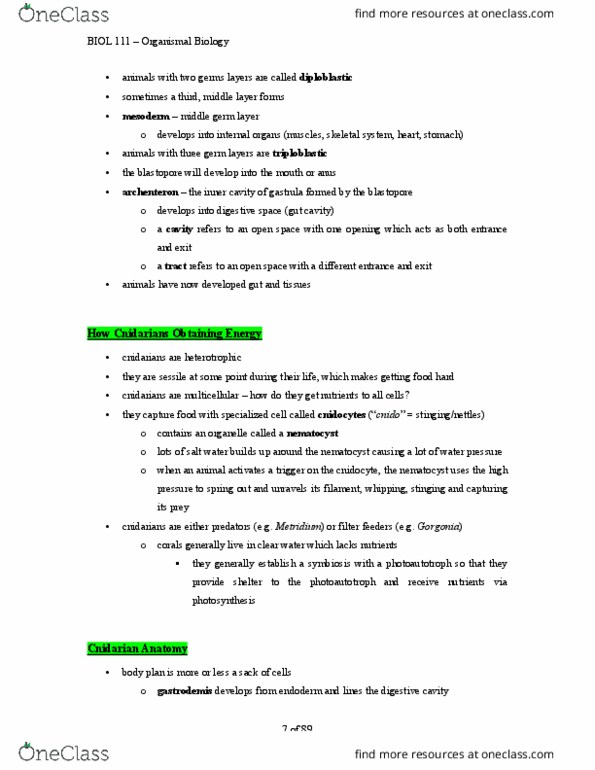 BIOL 111 Lecture Notes - Lecture 24: Germ Layer, Metridium, Cnidaria thumbnail