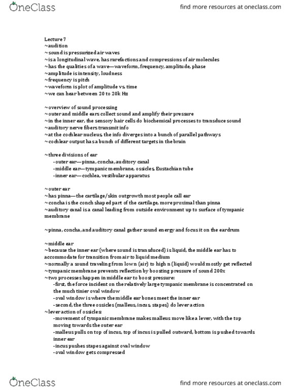 01:146:245 Lecture Notes - Lecture 7: Eustachian Tube, Cochlear Nucleus, Vestibular System thumbnail