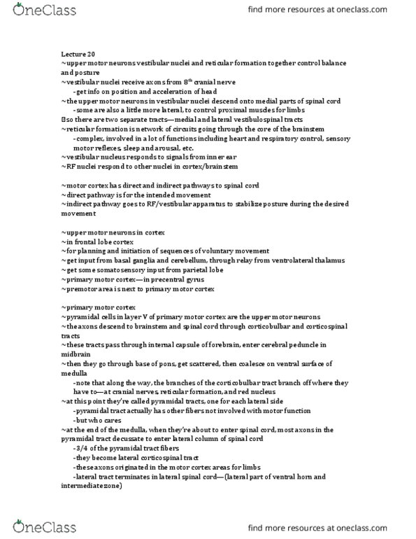 01:146:245 Lecture Notes - Lecture 20: Vestibular Nuclei, Vestibulospinal Tract, Reticular Formation thumbnail