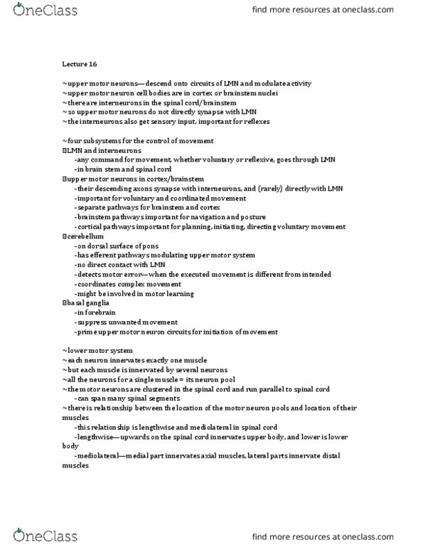 01:146:245 Lecture Notes - Lecture 16: Upper Motor Neuron, Motor Neuron, Brainstem thumbnail