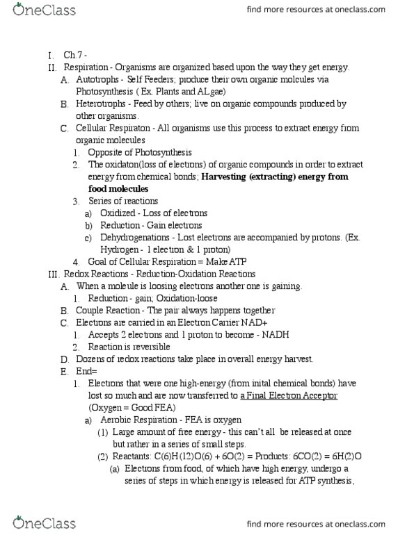 BIOL 1061 Lecture Notes - Lecture 7: Electron Transport Chain, Citric Acid Cycle, Electrochemical Gradient thumbnail