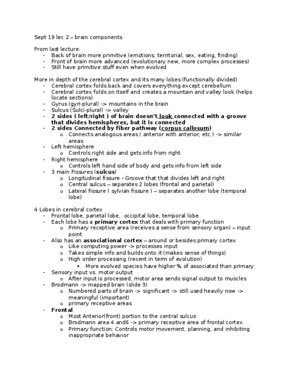 PSYB65H3 Lecture Notes - Thalamus, Headache, Vertebral Artery thumbnail