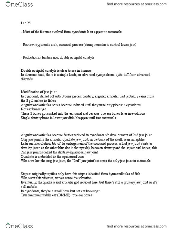 Earth Sciences 2266F/G Lecture Notes - Lecture 25: Mandible, Squamosal Bone, Occipital Condyle thumbnail