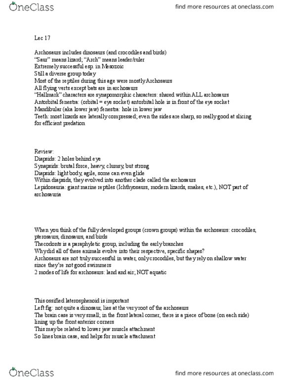 Earth Sciences 2266F/G Lecture Notes - Lecture 17: Antorbital Fenestra, Trigeminal Nerve, Diapsid thumbnail