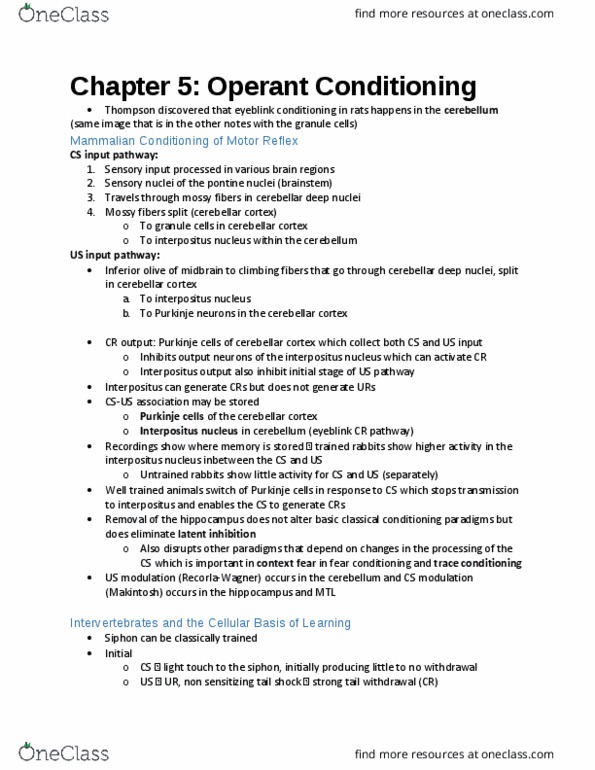 PSY260H1 Lecture Notes - Lecture 5: Purkinje Cell, Pontine Nuclei, Eyeblink Conditioning thumbnail