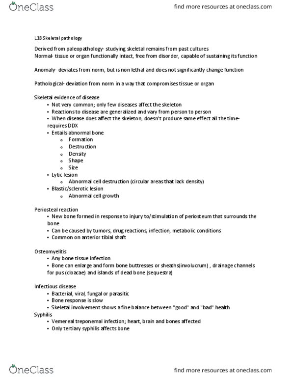 ANT 3520 Lecture Notes - Lecture 18: Congenital Syphilis, Endochondral Ossification, Vitamin D Deficiency thumbnail