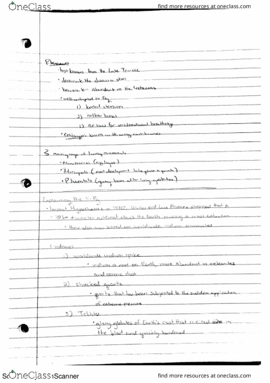 document preview image