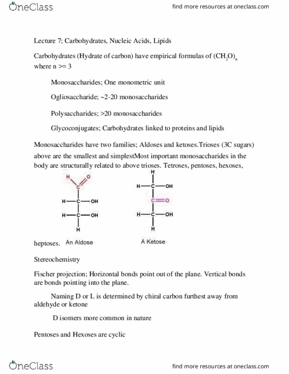 BIOC312 Lecture Notes - Lecture 7: Glycosidic Bond, Fischer Projection, Anomer thumbnail