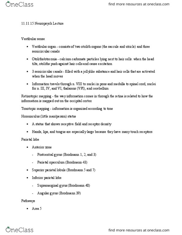 01:830:310 Lecture Notes - Lecture 18: Superior Parietal Lobule, Supplementary Motor Area, Supramarginal Gyrus thumbnail