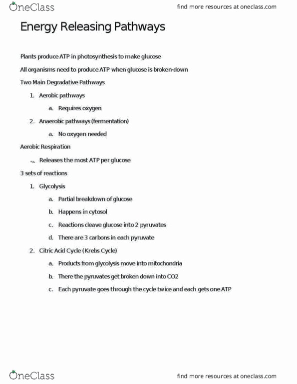 BIOL 100 Lecture Notes - Lecture 10: Pyruvic Acid, Cytosol, Glycolysis thumbnail