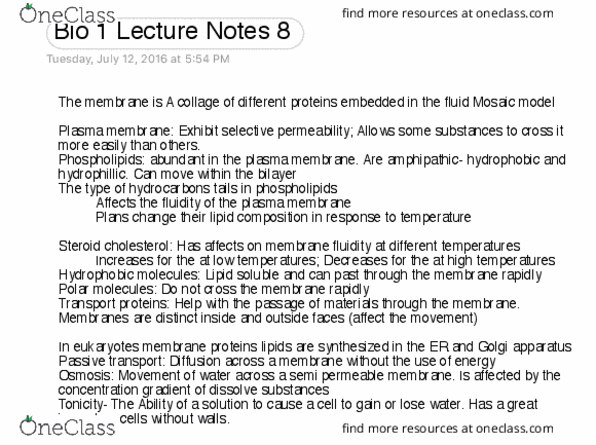 BIOL 111 Lecture Notes - Lecture 8: Cell Membrane, Amphiphile, Phospholipid thumbnail