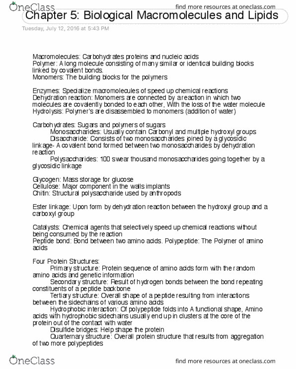 BIOL 111 Chapter Notes - Chapter 5: Dehydration Reaction, Covalent Bond, Mass Storage thumbnail