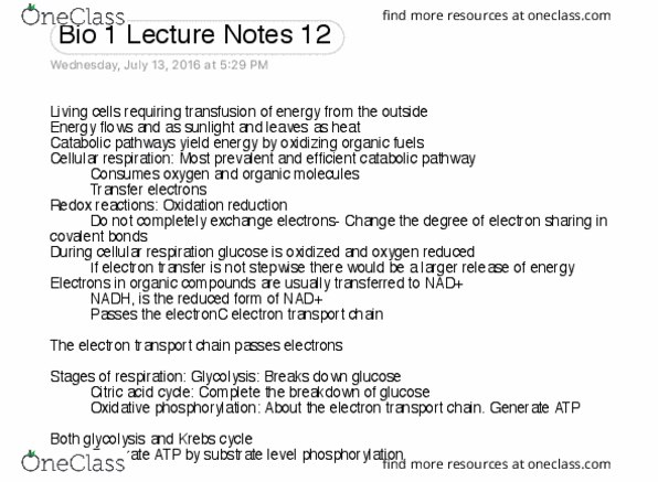 BIOL 111 Lecture Notes - Lecture 12: Cellular Respiration, Blood Transfusion, Catabolism thumbnail
