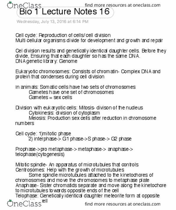 BIOL 111 Lecture 16: Bio 1 Lecture Notes 16 thumbnail