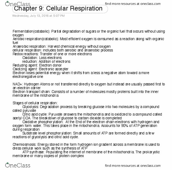 BIOL 111 Chapter 9: Chapter 9 Cellular Respiration thumbnail