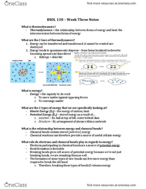 BIOL130 Lecture Notes - Lecture 7: Bond Energy, Endergonic Reaction, Thermodynamics thumbnail