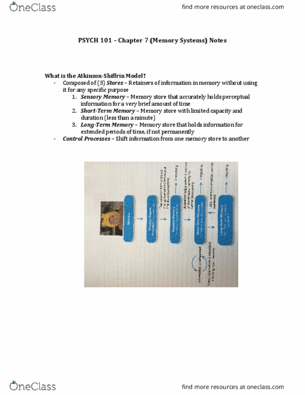 PSYCH101 Chapter Notes - Chapter 7: Sensory Memory, Sketchpad, Mnemonic thumbnail