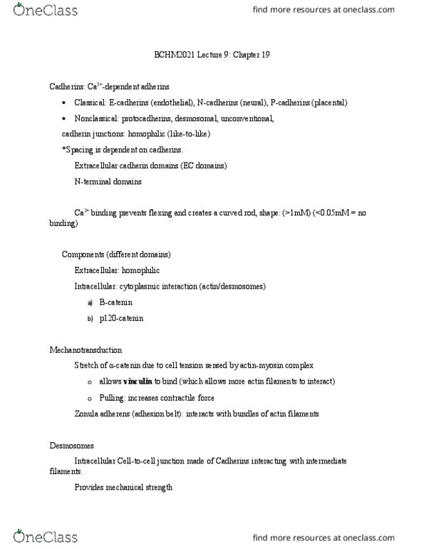 BCHM 2021 Lecture Notes - Lecture 9: Dermatan Sulfate, Keratan Sulfate, Heparan Sulfate thumbnail