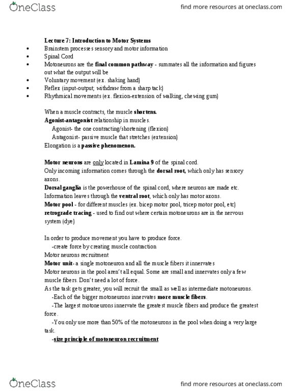 GE CLST 73B Lecture Notes - Lecture 7: Dorsal Root Of Spinal Nerve, Motor Neuron, Agonist thumbnail