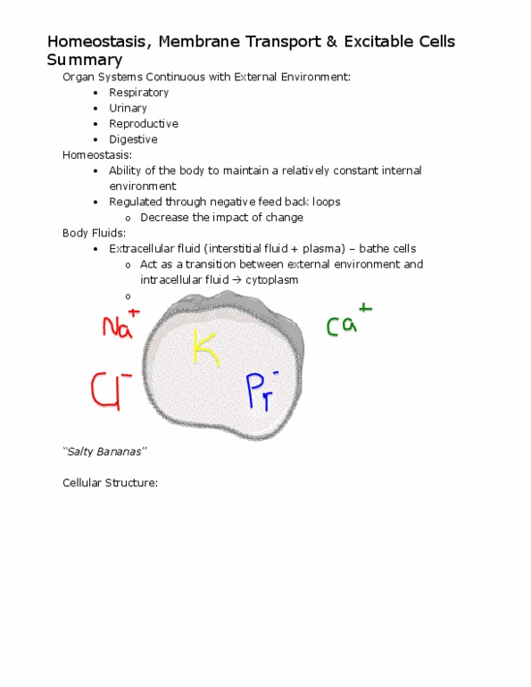 Physiology 1021 Lecture Notes - Lipid Bilayer, Fluid Compartments, Extracellular Fluid thumbnail