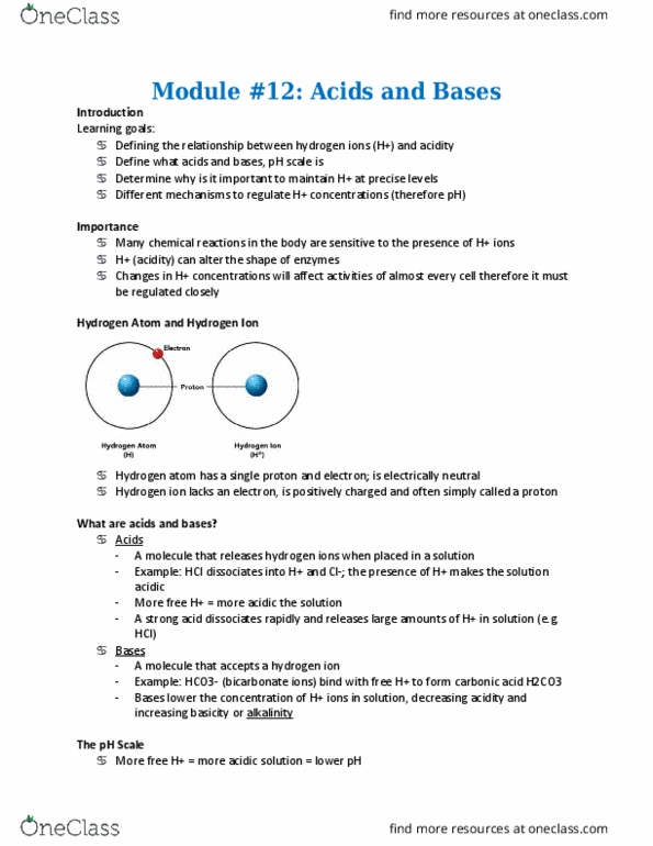 Physiology 2130 Lecture Notes - Lecture 12: Carbonic Anhydrase, Carbonic Acid, Peripheral Chemoreceptors thumbnail