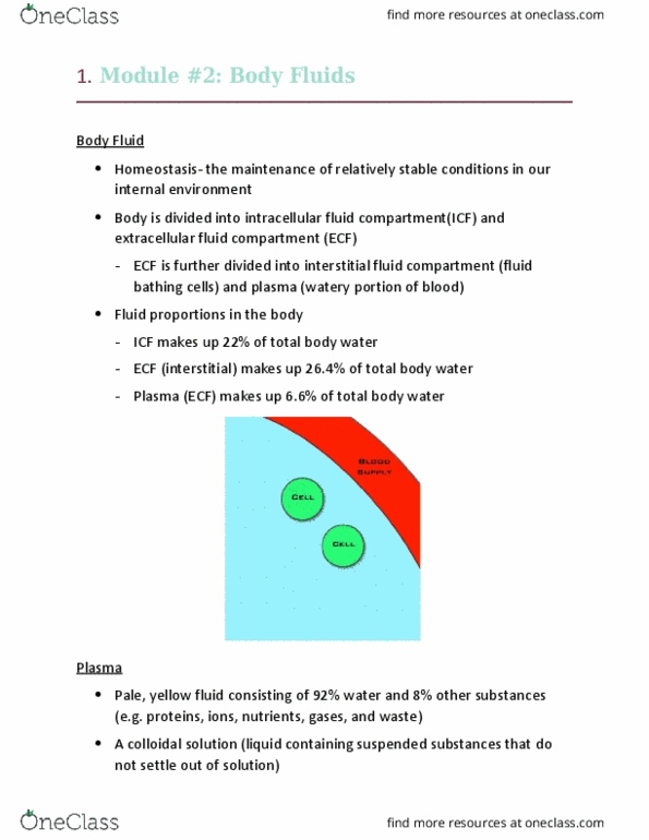 Physiology 2130 Lecture Notes - Lecture 2: Buffy Coat, Fluid Compartments, Cell Membrane thumbnail