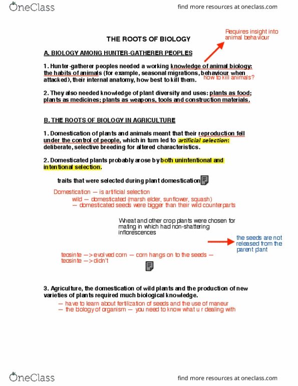 BIOL 400 Lecture Notes - Lecture 2: Ebers Papyrus, Iva Annua, The Roots thumbnail