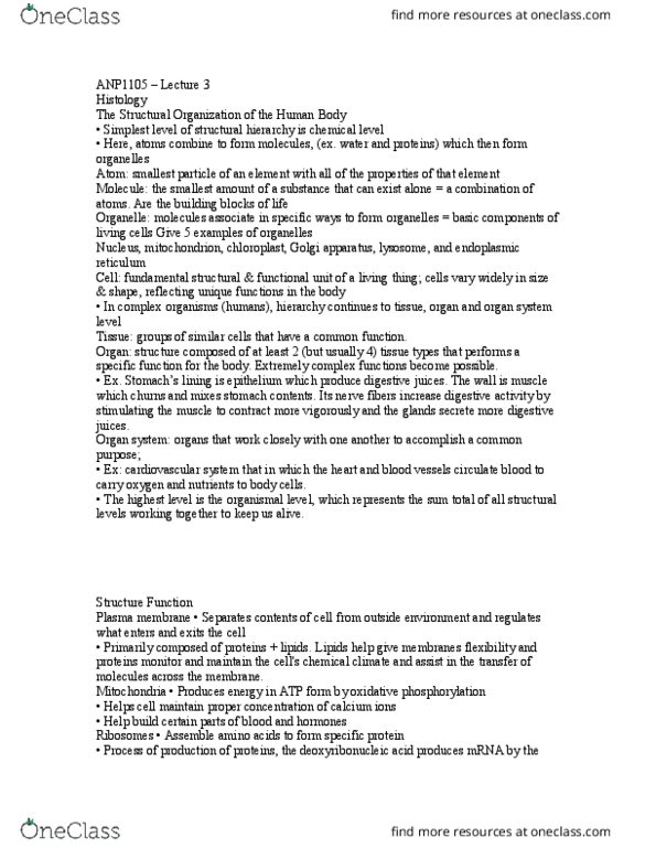 ANP 1105 Lecture Notes - Lecture 3: Ultimate Tensile Strength, Elastic Fiber, Reticular Fiber thumbnail