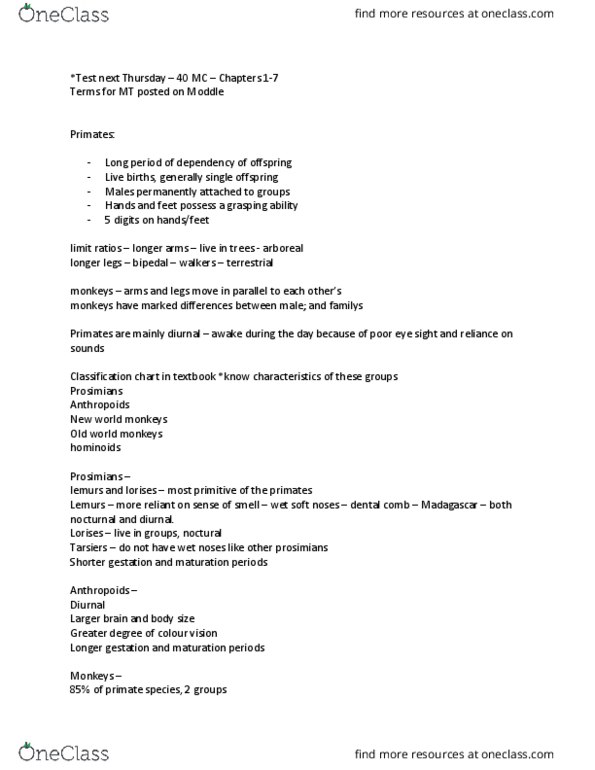 Primate Classification Chart