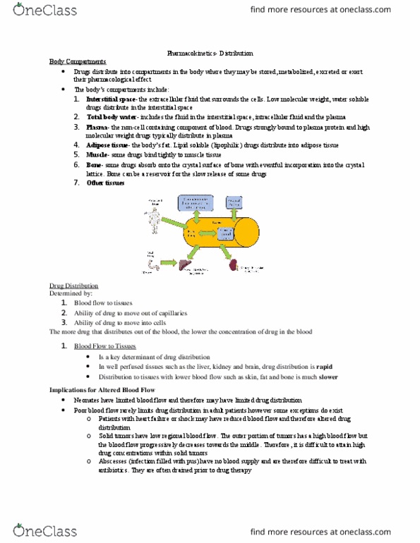 Pharmacology 2060A/B Lecture Notes - Lecture 3: Hydrophile, Malnutrition, Bile Canaliculus thumbnail