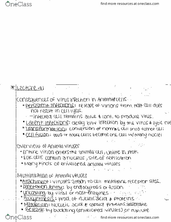 MB 351 Lecture Notes - Lecture 41: Viral Envelope, Cell Membrane thumbnail