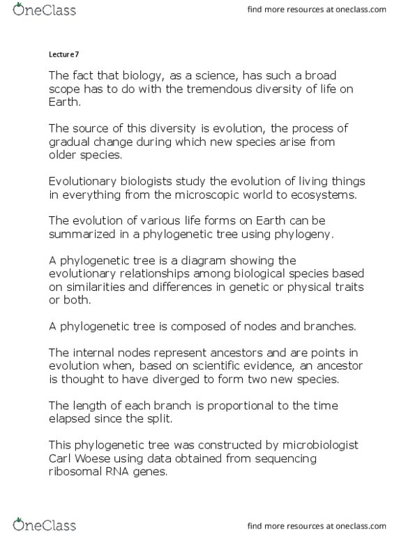 BIOL1001 Lecture Notes - Lecture 7: Carl Woese, Phylogenetic Tree, Archaea thumbnail